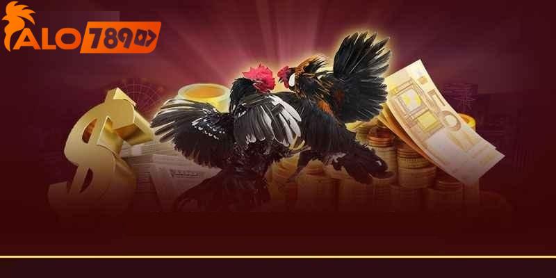 Nhà cái đá gà uy tín và hợp pháp